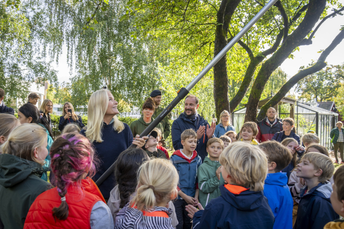 Sanking av epler i Fåbro hage. Foto: Heiko Junge, NTB